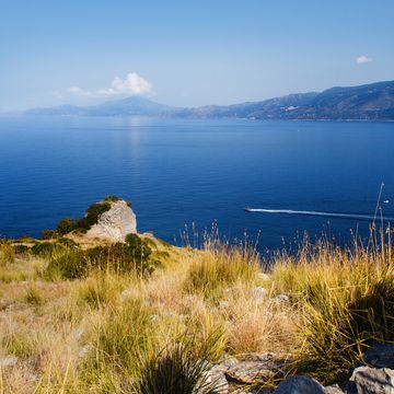 cilento