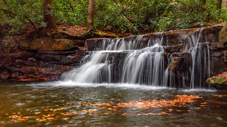 scenic view of waterfall in forest,oakland,maryland,united states,usa