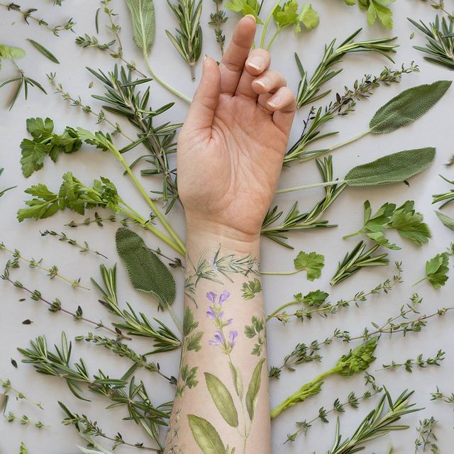 Hand, Plant, Leaf, Finger, Botany, Arm, Flower, Herb, Herbal, Parsley, 