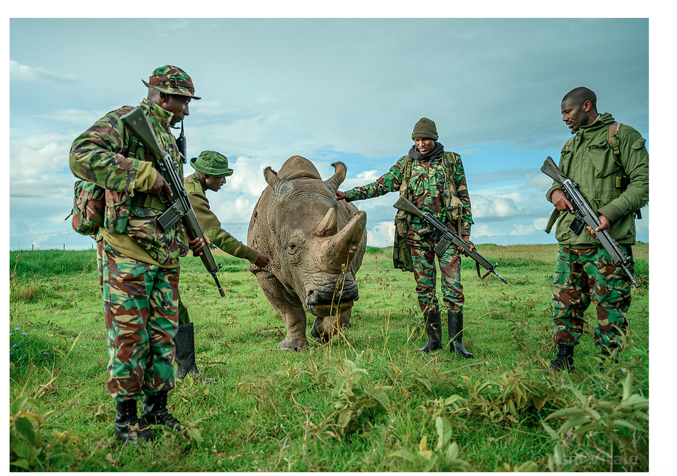 rhino keeper guardie addestrate a combattere i bracconieri