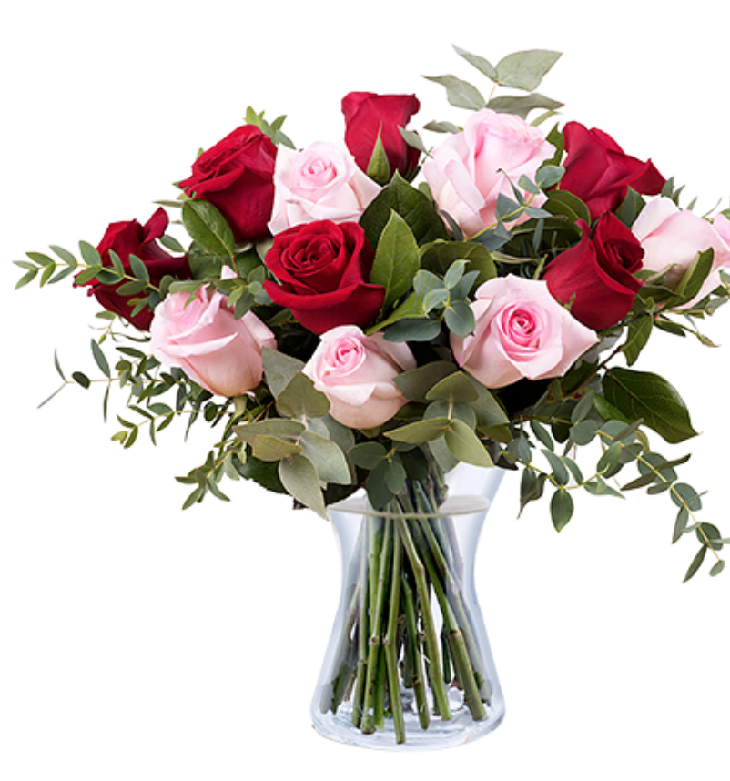 Flower, Bouquet, Flowering plant, Garden roses, Rose, Cut flowers, Plant, Pink, Flower Arranging, Rose family, 