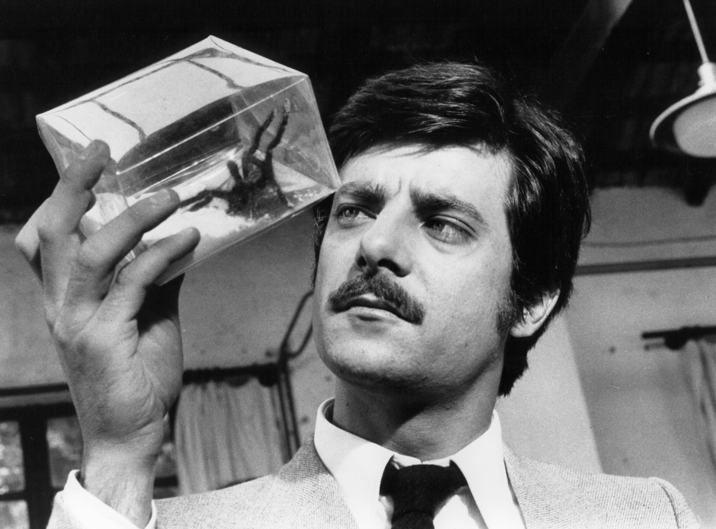 Giancarlo Giannini: film e biografia | Marie Claire