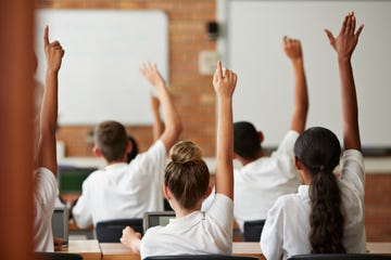 school students with raised hands, back view