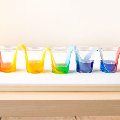 Five cups with different colored liquid in them are connected by paper towel bridges as part of this at home science experiment for kids five cups with different colored liquid in them are connected by paper towel bridges as part of this at home science experiment for kids