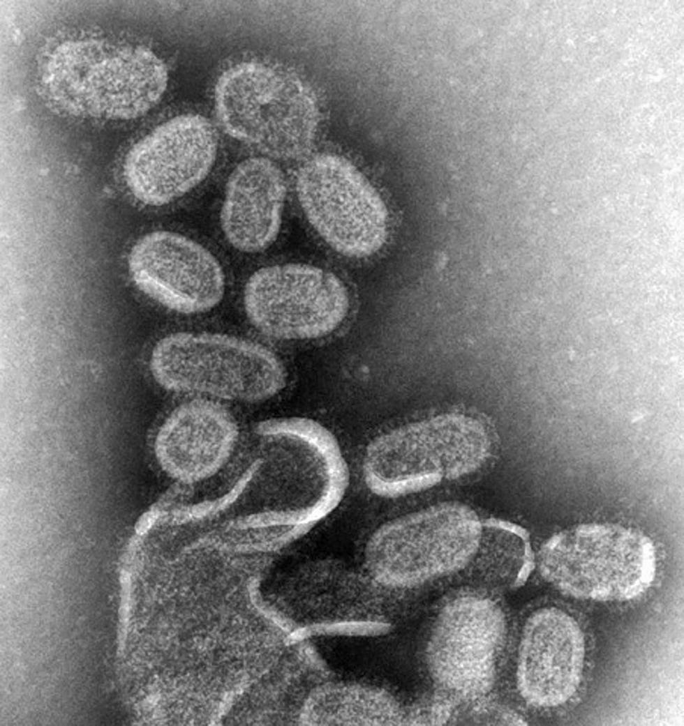 Het zou zon veertig jaar duren voordat wetenschappers de influenzastam identificeerden die de Spaanse griep in 1918 had veroorzaakt de H1N1variant die op deze opname van een transmissieelektronenmicroscoop is te zien