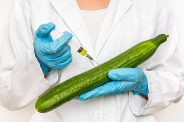 gmo scientist injecting liquid from syringe into cucumber