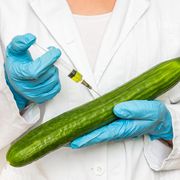 gmo scientist injecting liquid from syringe into cucumber