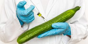 gmo scientist injecting liquid from syringe into cucumber