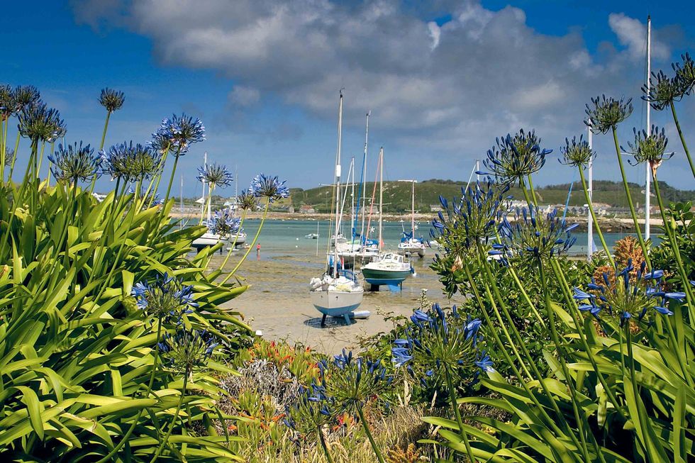The Isles of Scilly, a luxury guide - Bryher
