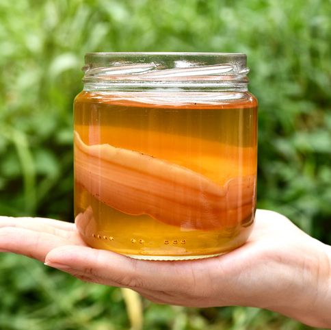 Everything you need to know about brewing kombucha at home - Supper in the  Suburbs