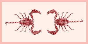 Crab, Scorpion, Decapoda, Invertebrate, Crustacean, Fiddler crab, Arthropod, Illustration, Ocypodidae, Cancridae, 