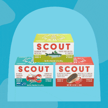 scout seacuterie 3 pack