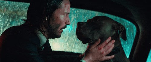 《捍衛任務3》最新畫面「殺神」基努李維出任務「把狗狗留車上」！這次終於不會再死一隻了⋯⋯ 嗎？