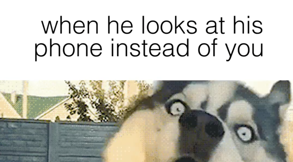 21 Dog Memes That Perfectly Describe Your Love Life