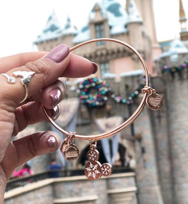 Rose gold alex 2025 and ani minnie ears