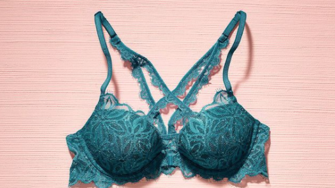 preview for Seventeen Firsts: First Bra