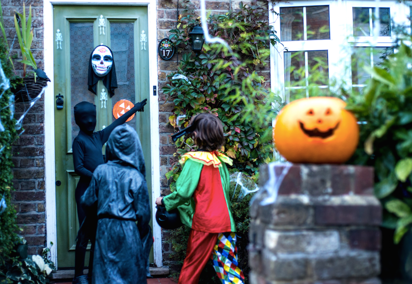 trick-or-treat, Pumpkin, Jack-o'-lantern, Plant, Smile, 