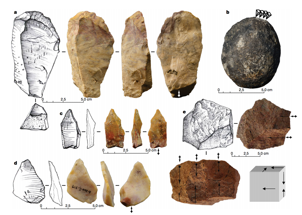 How 700,000-Year-Old Rhino Bones Could Change the Story of Human Migration