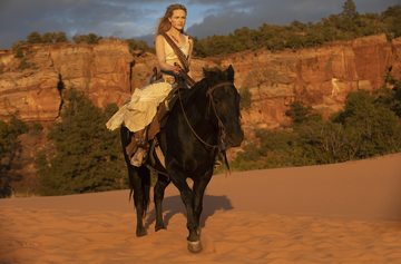 Horse, Mammal, Rein, Vertebrate, Bridle, Pack animal, Halter, Ecoregion, Working animal, Mane, 