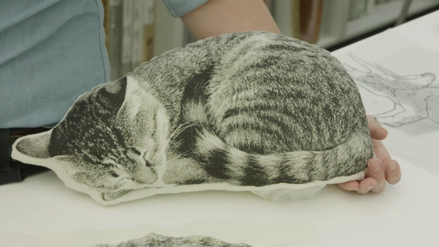 preview for This Etsy Shop Turns Your Pet Into a Pillow