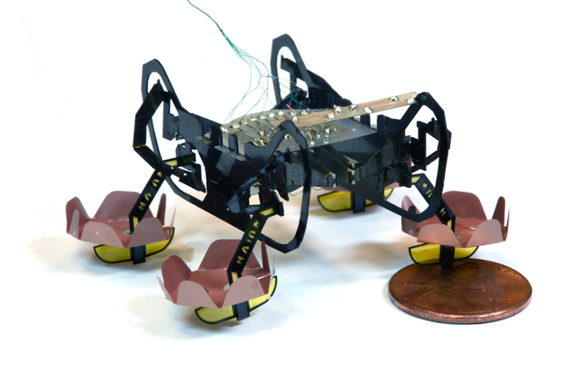 harvard robotic cockroach