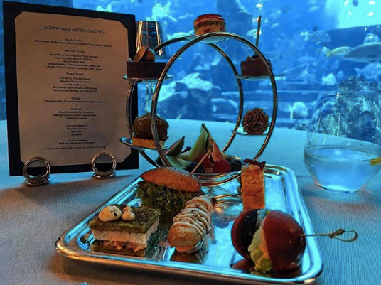 Food, Decapoda, Cuisine, Dish, Table, Crustacean, 