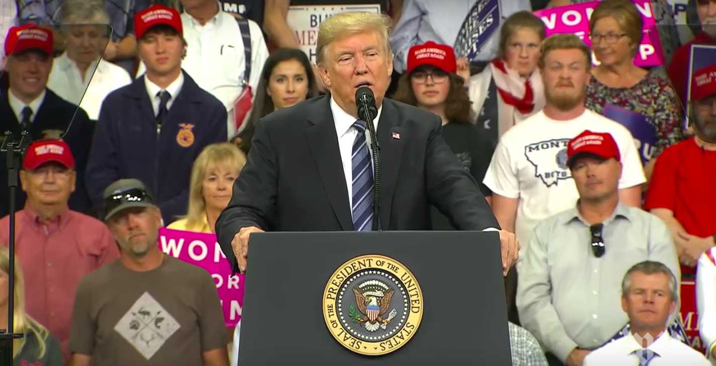 green hat guy at trump rally｜TikTok Search