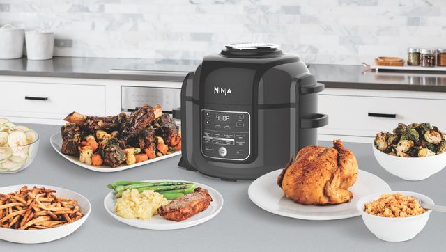 Ninja Foodi Review: a Combination Pressure Cooker and Air Fryer