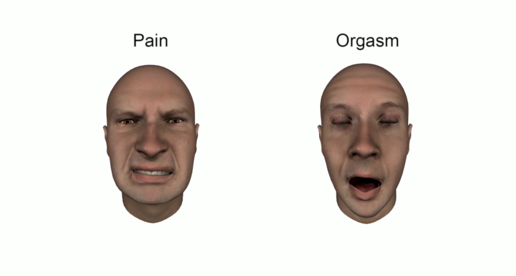 Orgasm Faces Study