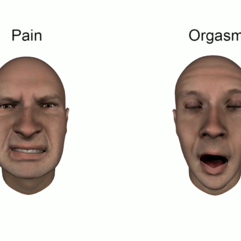 Orgasm Facial Expression Porn - Orgasm Faces Study - New Research Shows Orgasm Faces Around the World