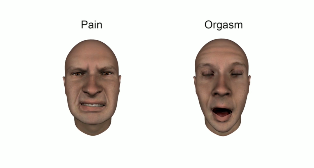 Orgasm Faces Study - New Research Shows Orgasm Faces Around the World