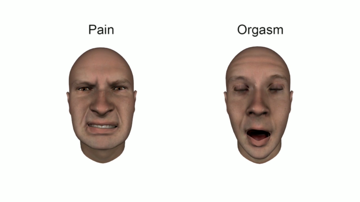 Asian Faces Pain Porn - Orgasm Faces Study - New Research Shows Orgasm Faces Around the World