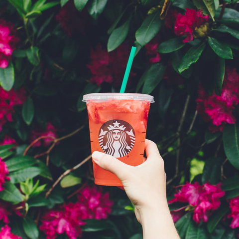 hand, plant, non alcoholic beverage, cup, drink, flower, cup,