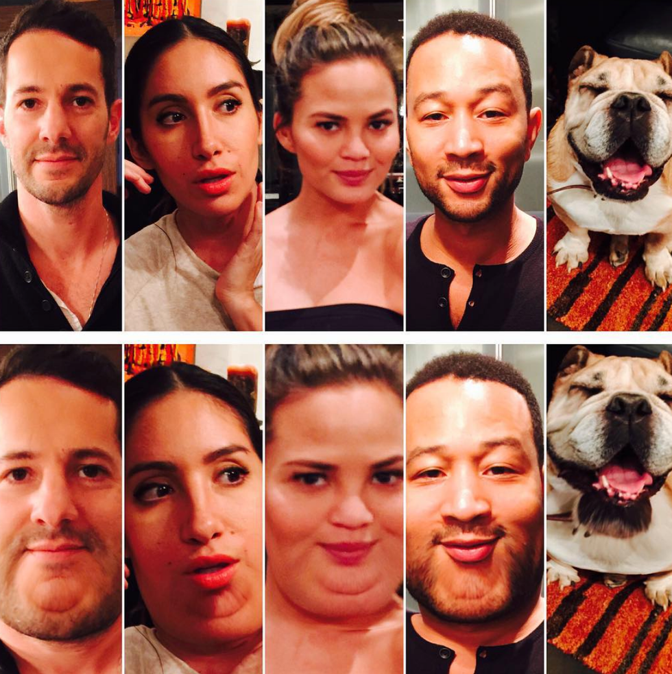 Face, Facial expression, Nose, Head, Canidae, Selfie, Dog, Chin, Collage, Cheek, 