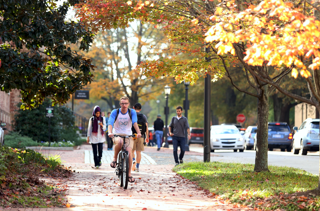 People in nature, Photograph, Autumn, Tree, Leaf, Bicycle, Vehicle, Cycling, Yellow, Recreation, 