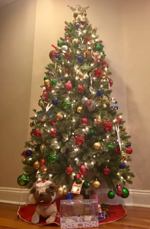 Christmas tree, Christmas decoration, Christmas ornament, Christmas, Tree, Holiday ornament, oregon pine, Spruce, Colorado spruce, Evergreen, 