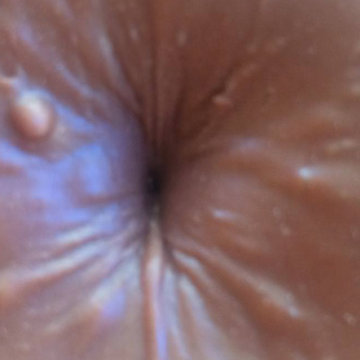 Close-up, Caramel color, Brown, Eye, Iris, Organism, Chocolate, Photography, Macro photography, Close-up, Caramel color, Brown, Eye, Iris, Organism, Chocolate, Photography, Macro photography,