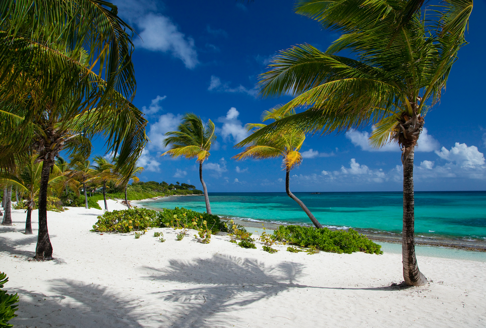 Tropics, Tree, Nature, Palm tree, Sky, Beach, Caribbean, Vacation, Ocean, Sea, 