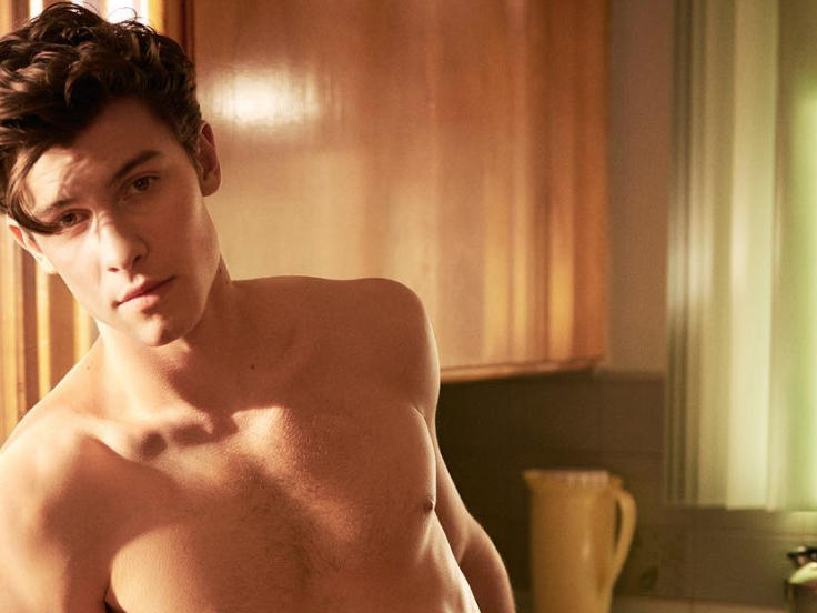 Thirsty Celebrity Comments on Shawn Mendes' New Calvin Klein Ad - Jennifer  Lopez, Alexander Rodriguez, Drake Bell & More