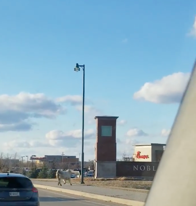 Sky, Cloud, Street light, Road trip, Road, Vehicle, Car, Architecture, Asphalt, Family car, 