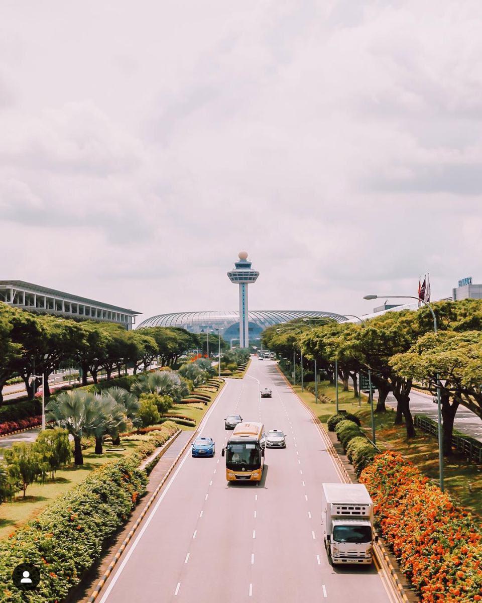 Singapore Changi Airport Named World's Best: 10 Coolest Things I Saw