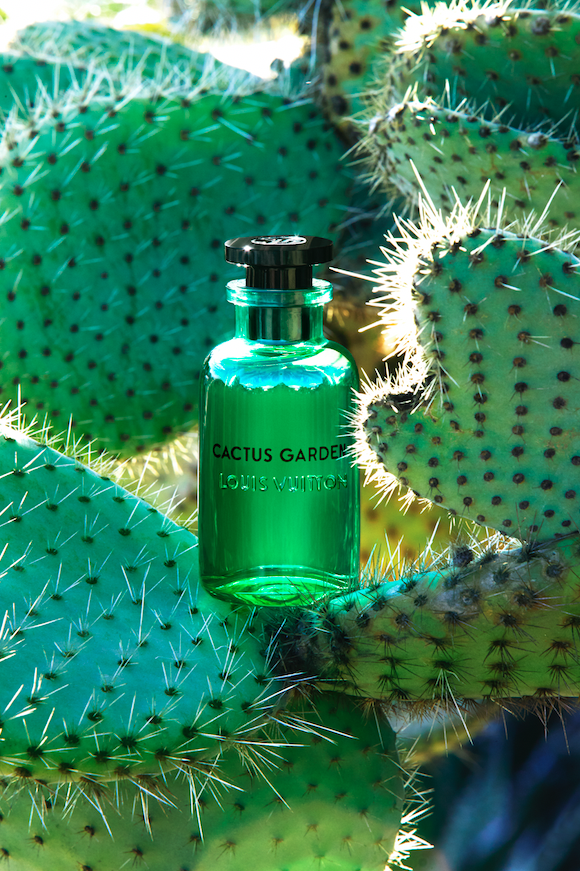 cactus garden louis vuitton