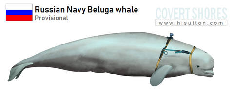 Marine mammal, Sperm whale, Cetacea, Blue whale, Manatee, Bowhead, Whale, Dugong, Sea cows, 