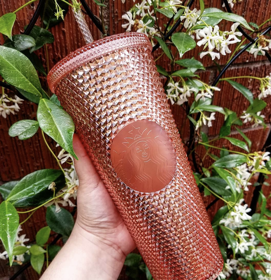 Starbucks, Accessories, Rose Gold Starbucks Tumbler Two Small Cracks Used  For Water