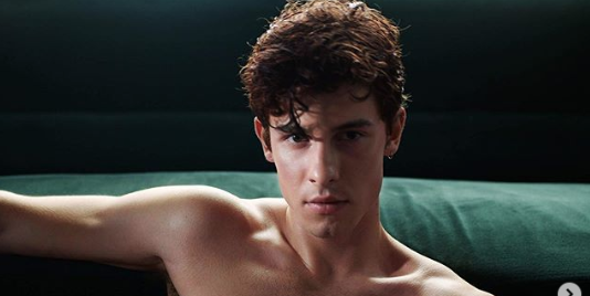 Shawn Mendes’s New Calvin Klein Ad Is Super Hot and His Fans Are Getting THIRSTY in the Comments