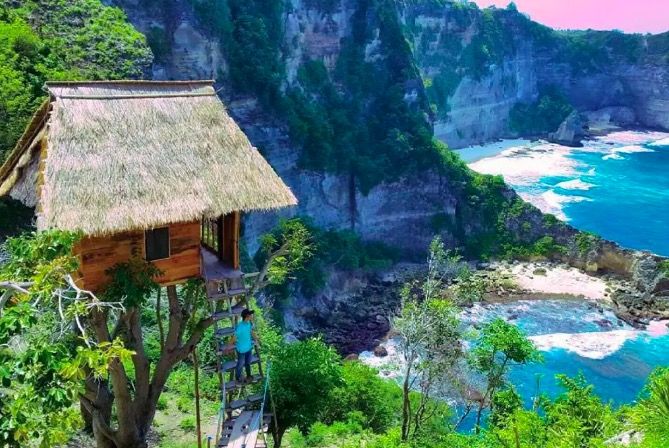 You can rent this incredible treehouse in Bali for under £30 a night