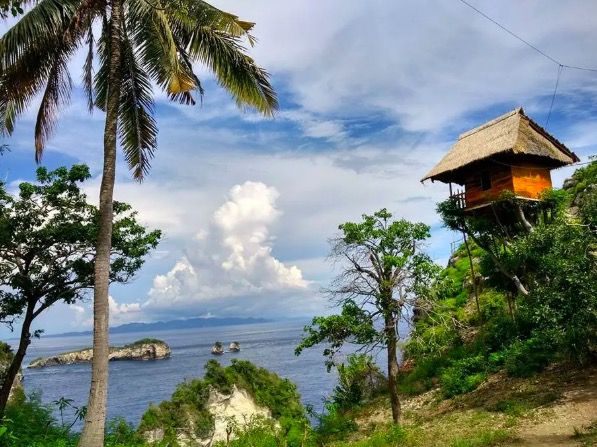 You can rent this incredible treehouse in Bali for under £30 a night
