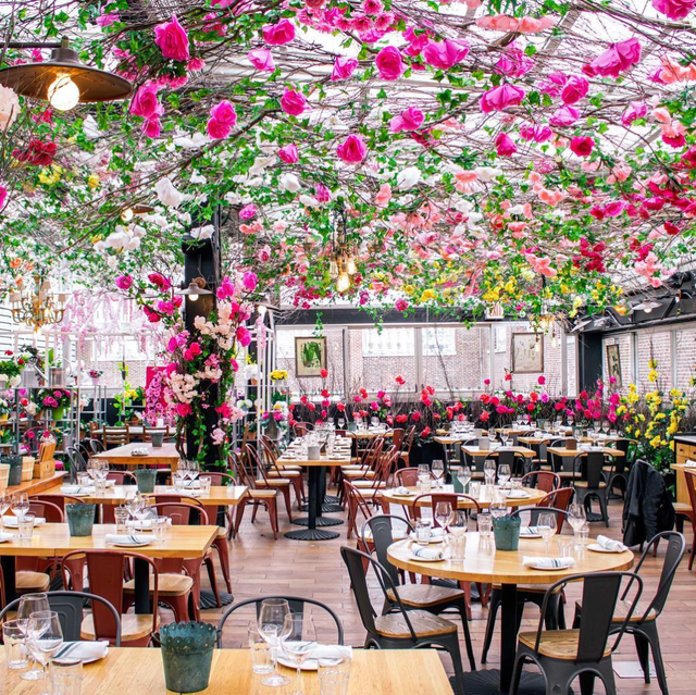 Pink, Flower, Restaurant, Decoration, Spring, Plant, Building, Floristry, Tree, Table, 