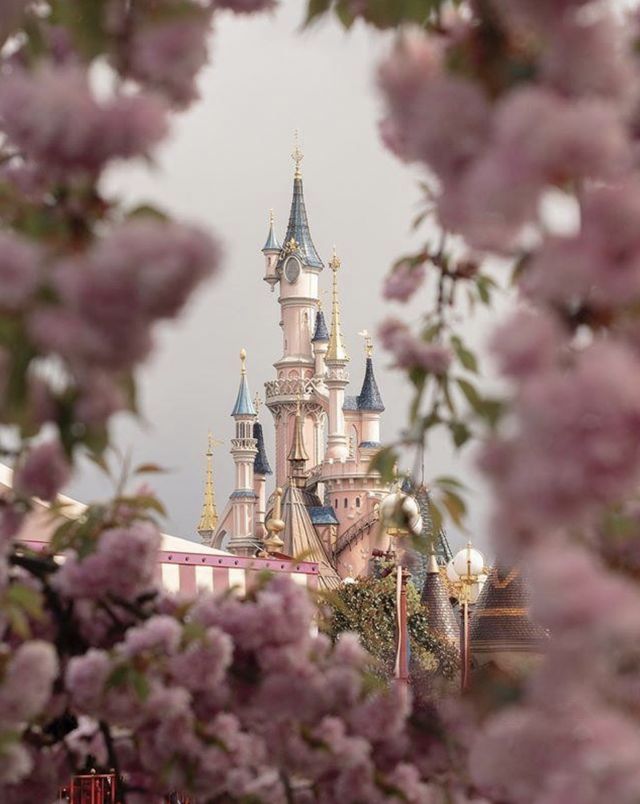 Disneyland Paris  Disney pictures, Disney background, Disney aesthetic