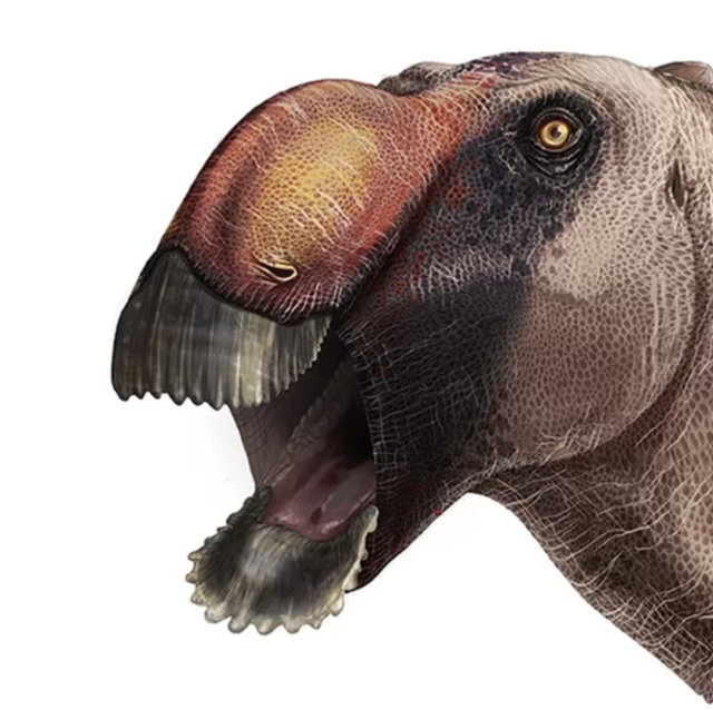 This Duck-Billed Dino Is One Weird-Looking Creature